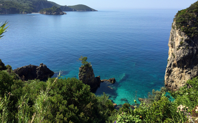 Online on official website!